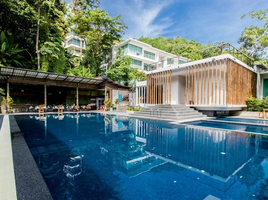 1 Schlafzimmer Wohnung zu vermieten im The Trees Residence, Kamala, Kathu, Phuket