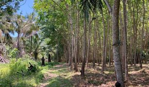 N/A Land for sale in Ko Yao Yai, Phangnga 