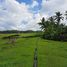  Land for sale in Tabanan, Bali, Selemadeg, Tabanan