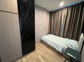 2 Bedroom Condo for rent at Niche Mono Sukhumvit - Bearing, Samrong Nuea