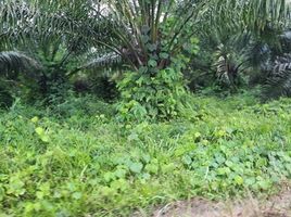  Land for sale in Presidente Figueiredo, Amazonas, Balbina, Presidente Figueiredo