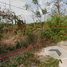  Land for sale in Pluak Daeng, Rayong, Pluak Daeng, Pluak Daeng