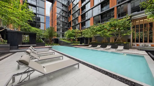 Photo 1 of the Communal Pool at Quintara Treehaus Sukhumvit 42