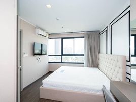 1 спален Кондо в аренду в Ideo Sukhumvit 93, Bang Chak, Пхра Кханонг, Бангкок