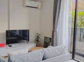 1 Schlafzimmer Wohnung zu vermieten im Noble Ambience Sukhumvit 42, Phra Khanong, Khlong Toei, Bangkok