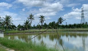 N/A Land for sale in Lak Sam, Samut Sakhon 