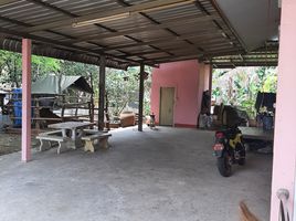1 Schlafzimmer Haus zu verkaufen in Mueang Amnat Charoen, Amnat Charoen, Na Wang, Mueang Amnat Charoen, Amnat Charoen