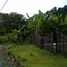  Land for sale in Costa Rica, Siquirres, Limon, Costa Rica