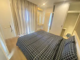 1 Bedroom Condo for rent at The Bell Condominium, Chalong