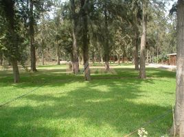  Land for sale in Lima, Lima, Lima District, Lima