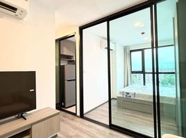 1 Bedroom Condo for rent at Brixton Pet&Play Phahol 50 Station, Anusawari, Bang Khen