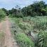  Land for sale in Si Thep, Phetchabun, Sa Kruat, Si Thep