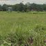  Land for sale in Saraburi, Pak Phriao, Mueang Saraburi, Saraburi