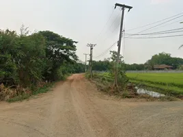  Grundstück zu verkaufen in Mae Rim, Chiang Mai, Mueang Kaeo, Mae Rim