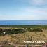  Land for sale in Sumba Timur East Nusa Tenggara, Paberiwai, Sumba Timur, East Nusa Tenggara