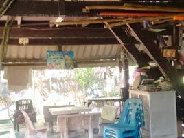 2 Schlafzimmer Haus zu verkaufen in Sai Noi, Nonthaburi, Nong Phrao Ngai, Sai Noi