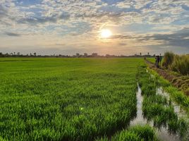  Grundstück zu verkaufen in In Buri, Sing Buri, Namtan