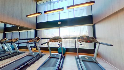 3D-гид of the Communal Gym at Blossom Condo@Fashion Altitude