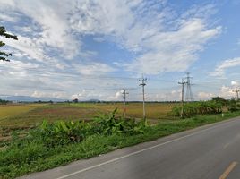  Grundstück zu verkaufen in Mueang Chiang Rai, Chiang Rai, Rim Kok