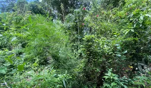 2 Bedrooms House for sale in Wichit, Phuket 