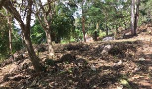 N/A Land for sale in Patong, Phuket 