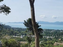  Land for sale in Bo Phut, Koh Samui, Bo Phut