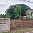 ขายที่ดิน ใน เมืองเชียงใหม่ เชียงใหม่, ฟ้าฮ่าม