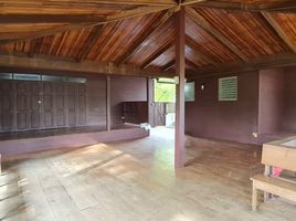 8 Schlafzimmer Villa zu verkaufen in Saraphi, Chiang Mai, Nong Phueng