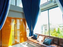 3 Schlafzimmer Villa zu verkaufen im Fasal Pool Villa Khaoyai, Phaya Yen, Pak Chong, Nakhon Ratchasima