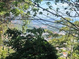  Land for sale in Phuket Town, Phuket, Chalong, Phuket Town