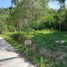  Land for sale in Maenam, Koh Samui, Maenam