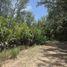  Land for sale in Sakhu, Phuket, Sakhu, Thalang