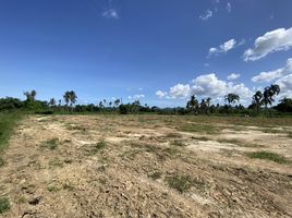  Land for sale in Ban Bueng School, Huai Yai, Huai Yai