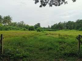  Grundstück zu verkaufen in Ban Pong, Ratchaburi, Nakhon Chum