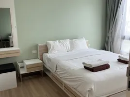1 Bedroom Condo for rent at Happy Place Condo, Sakhu, Thalang