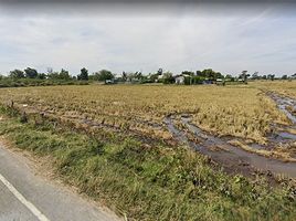  Land for sale in Si Narong, Chumphon Buri, Si Narong