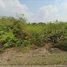  Land for sale in Plaeng Yao, Chachoengsao, Wang Yen, Plaeng Yao