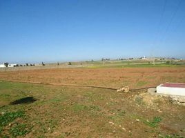  Land for rent in Hrara, Safi, Hrara