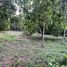  Land for sale in Khlong Narai, Chanthaburi, Khlong Narai, Mueang Chanthaburi, Chanthaburi