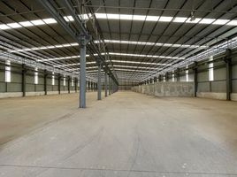 100 Bedroom Warehouse for rent in Rayong, Nikhom Phatthana, Nikhom Phatthana, Rayong