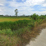  Land for sale in Don Ya Nang, Phachi, Don Ya Nang