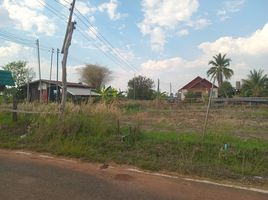  Land for sale in Nong Bua Hi, Phibun Mangsahan, Nong Bua Hi