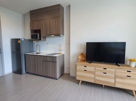 1 Bedroom Condo for rent at The Parkland Phetkasem Condominium, Bang Khae