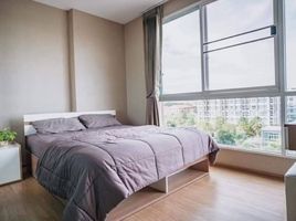 1 Schlafzimmer Appartement zu vermieten im One Plus Mahidol 5, Nong Hoi