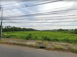  Grundstück zu verkaufen in Mueang Rayong, Rayong, Choeng Noen