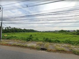  Земельный участок for sale in Choeng Noen, Мыанг Районг, Choeng Noen