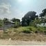  Land for sale in Pattaya Chon Buri, Nong Prue