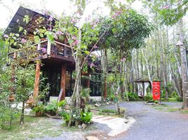  Земельный участок for sale in Nakhon Nayok, Na Hin Lat, Pak Phli, Nakhon Nayok