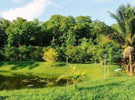  Grundstück zu verkaufen in Mae Taeng, Chiang Mai, Khi Lek, Mae Taeng, Chiang Mai