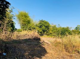  Land for sale in Sakon Nakhon, Ban Thon, Sawang Daen Din, Sakon Nakhon